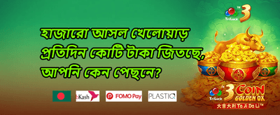 ভিআইপি সাপ্তাহিক ক্যাশব্যাক promotion image